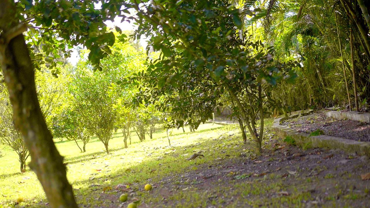 Pousada Bem Viver Ubatuba Eksteriør bilde