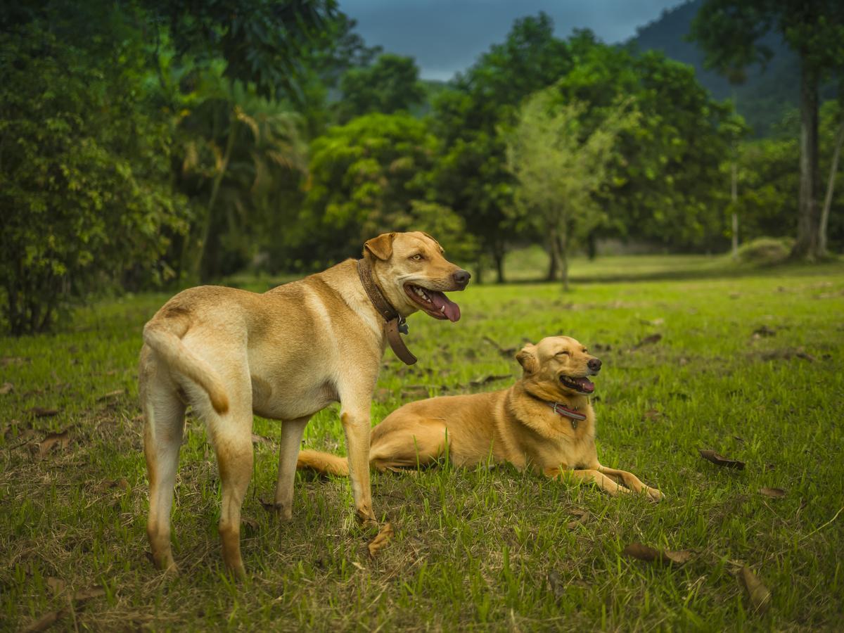 Pousada Bem Viver Ubatuba Eksteriør bilde